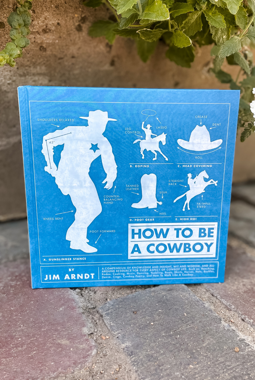 How To Be A Cowboy Book
