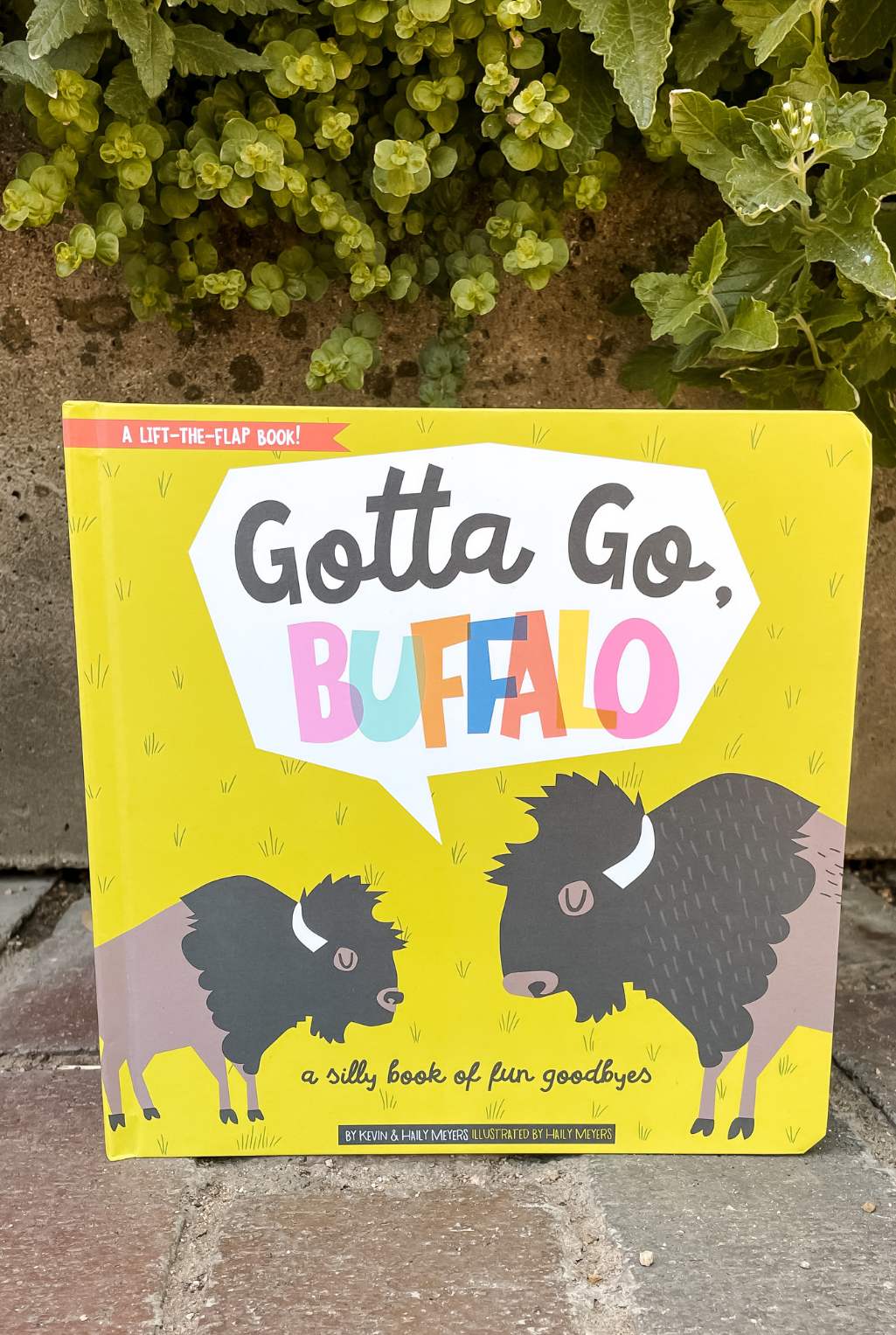 Gotta Go Buffalo Book