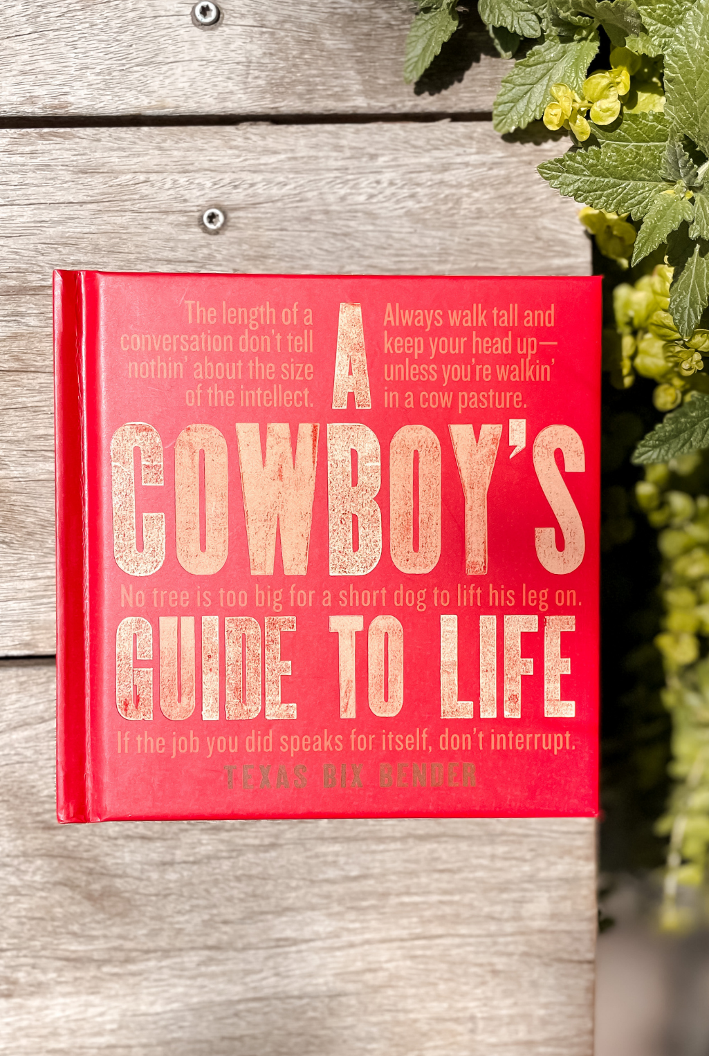 Cowboy's Guide To Life Book