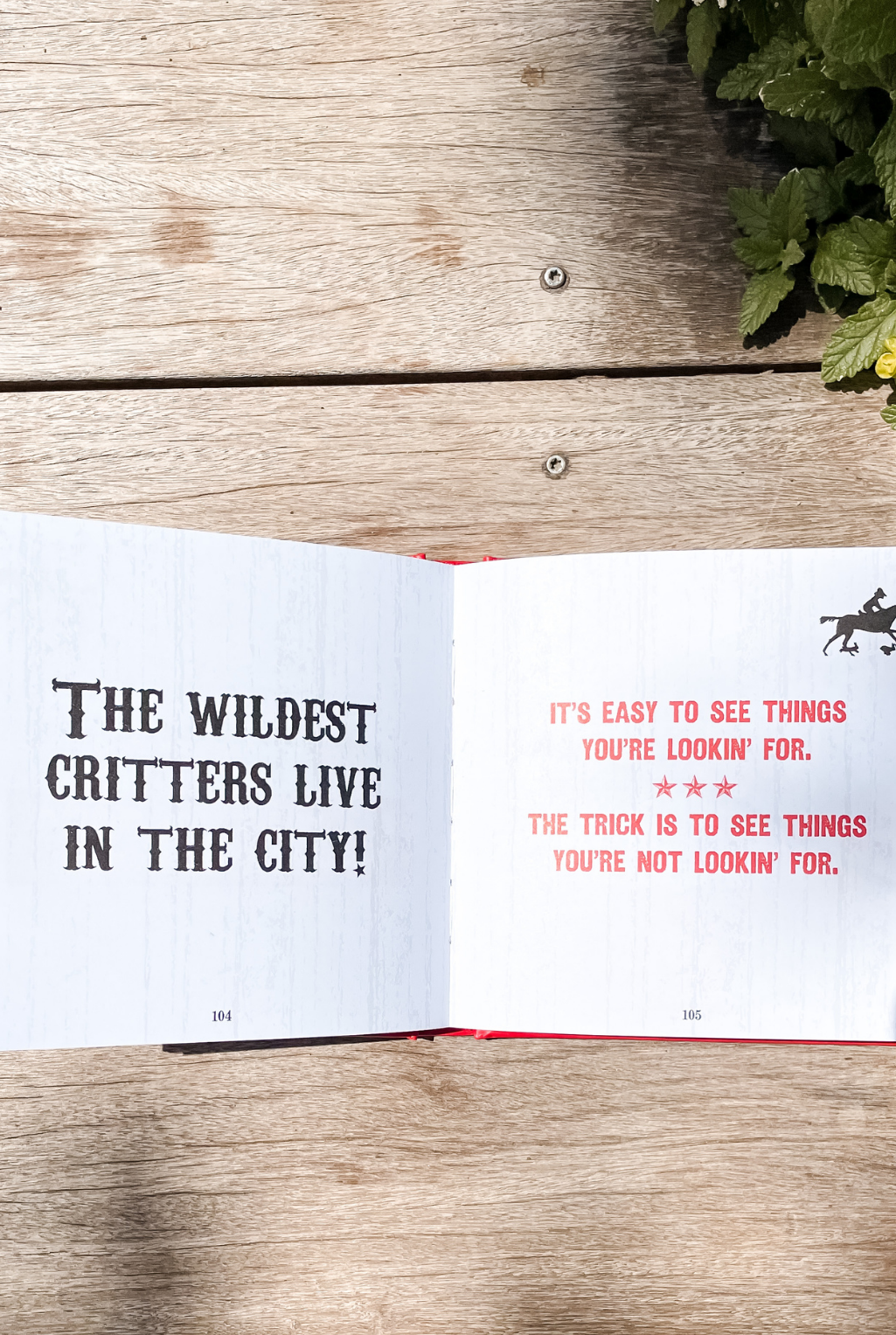 Cowboy's Guide To Life Book