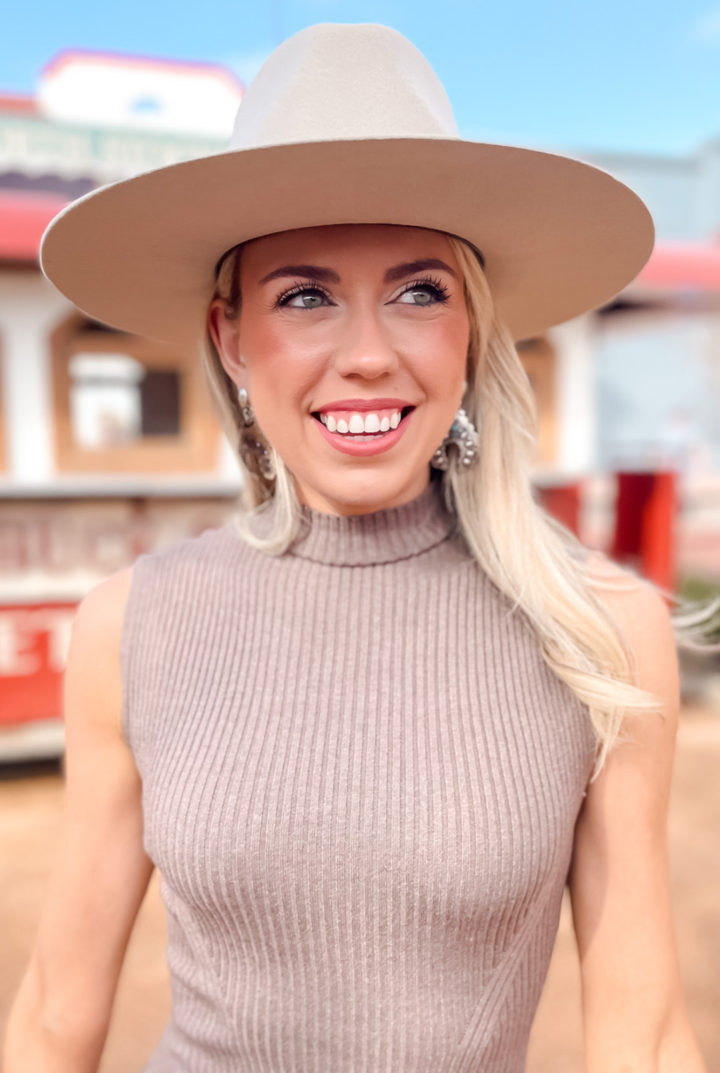 Dorothy Knit Skater Dress - Mocha