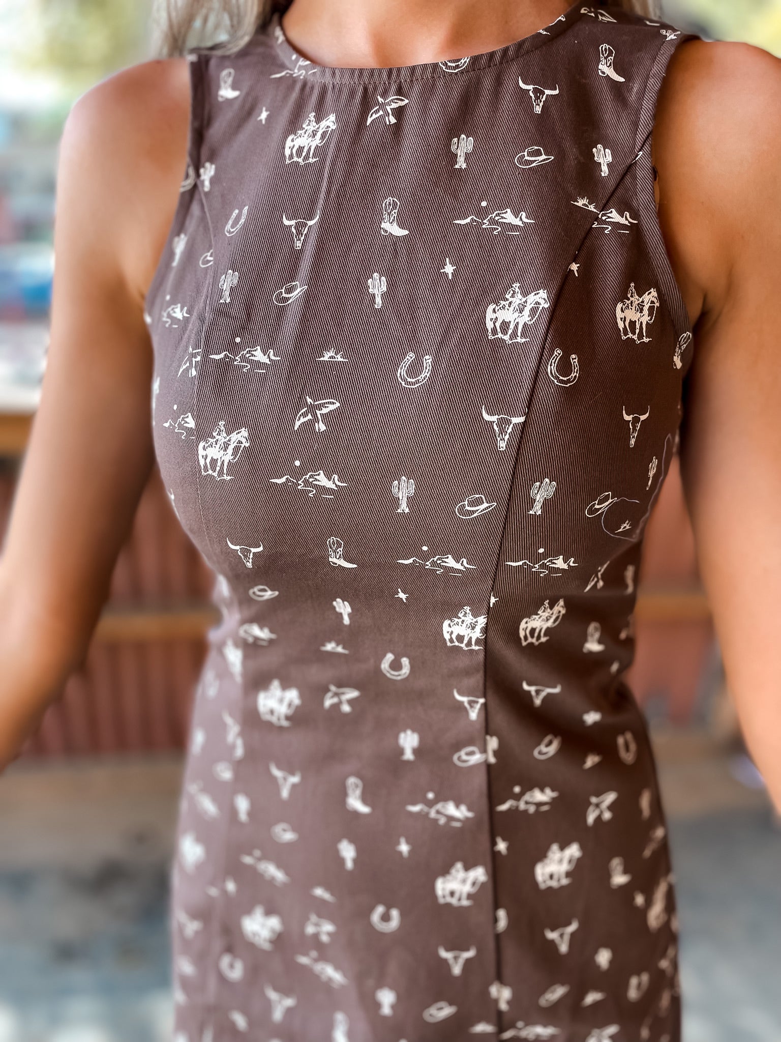 Western Charms Dress