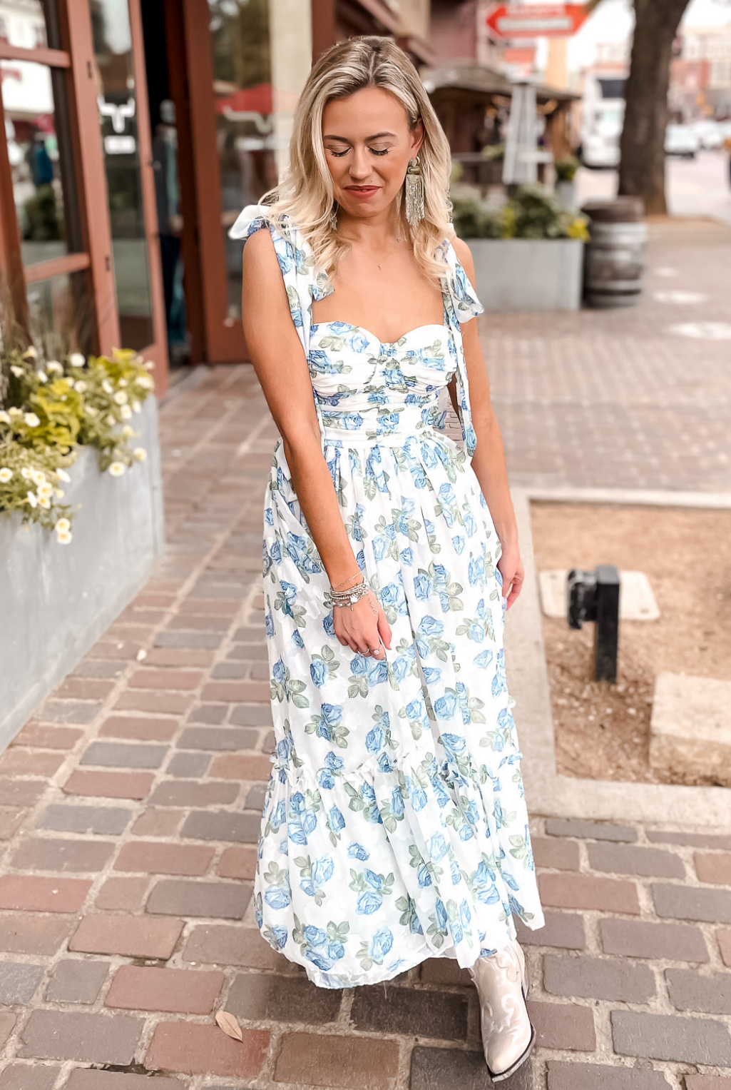 Rose Garden Dress - Blue