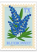 Texas Bluebonnet Stamp Sticker - Tucker Brown