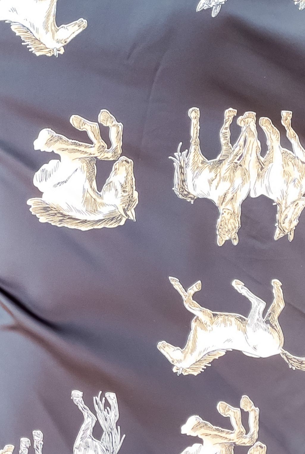 Thundering Horses Top - Black