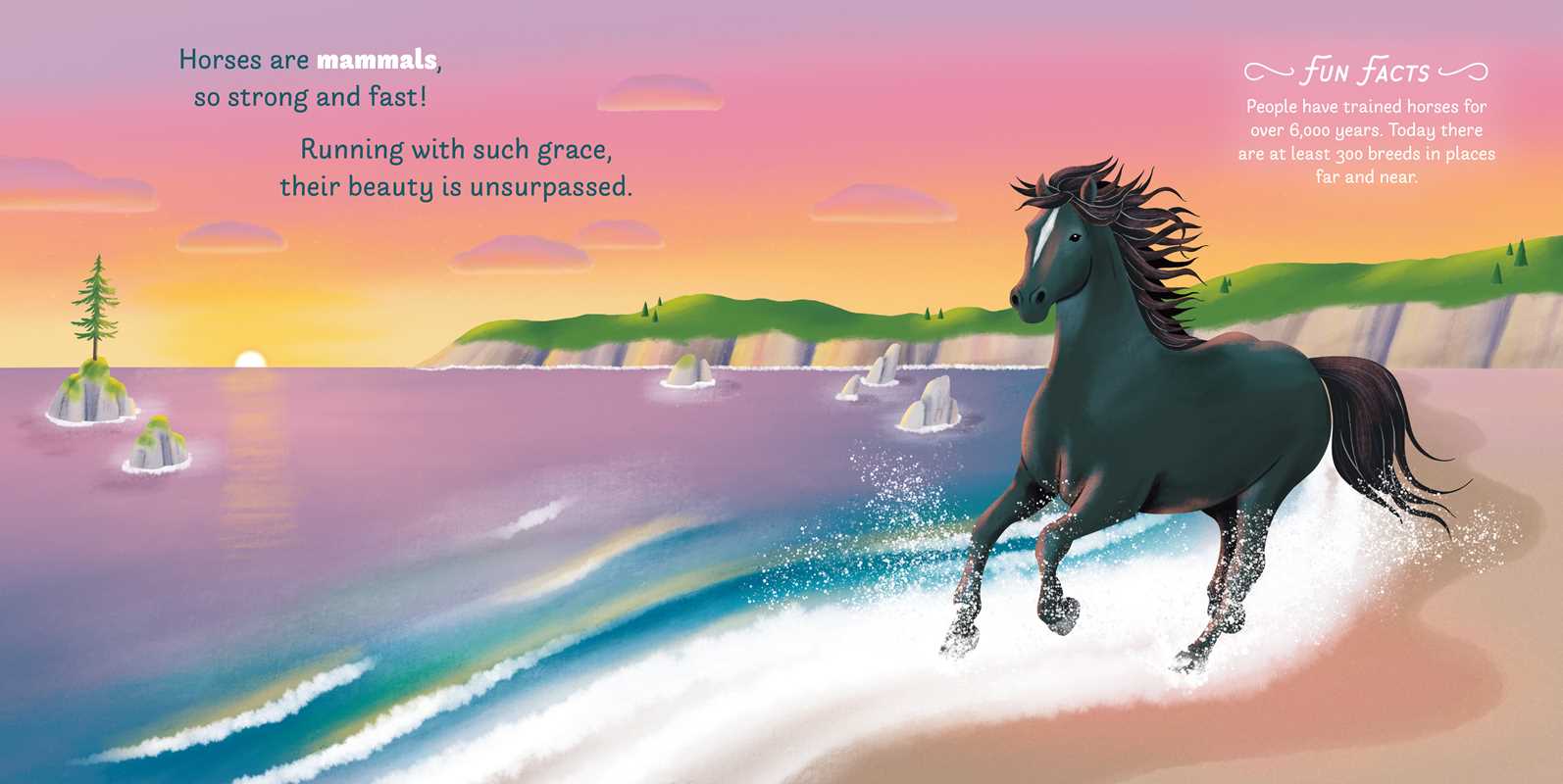 Little Genius Horses Book
