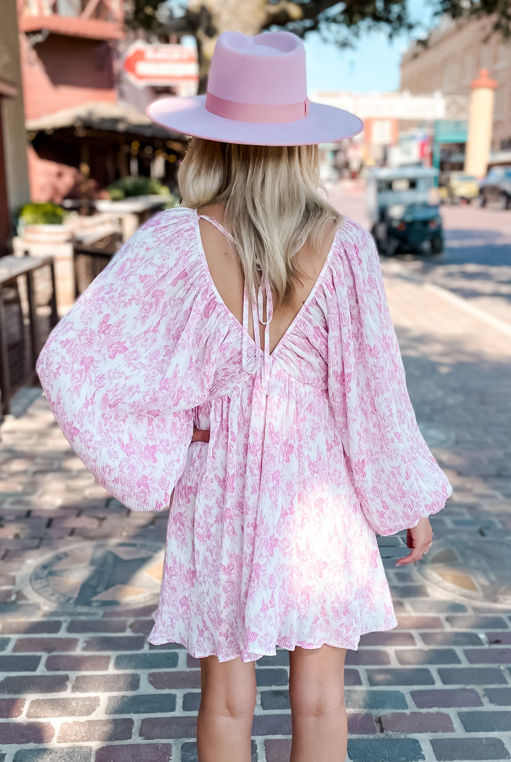 Garden Toile Dress