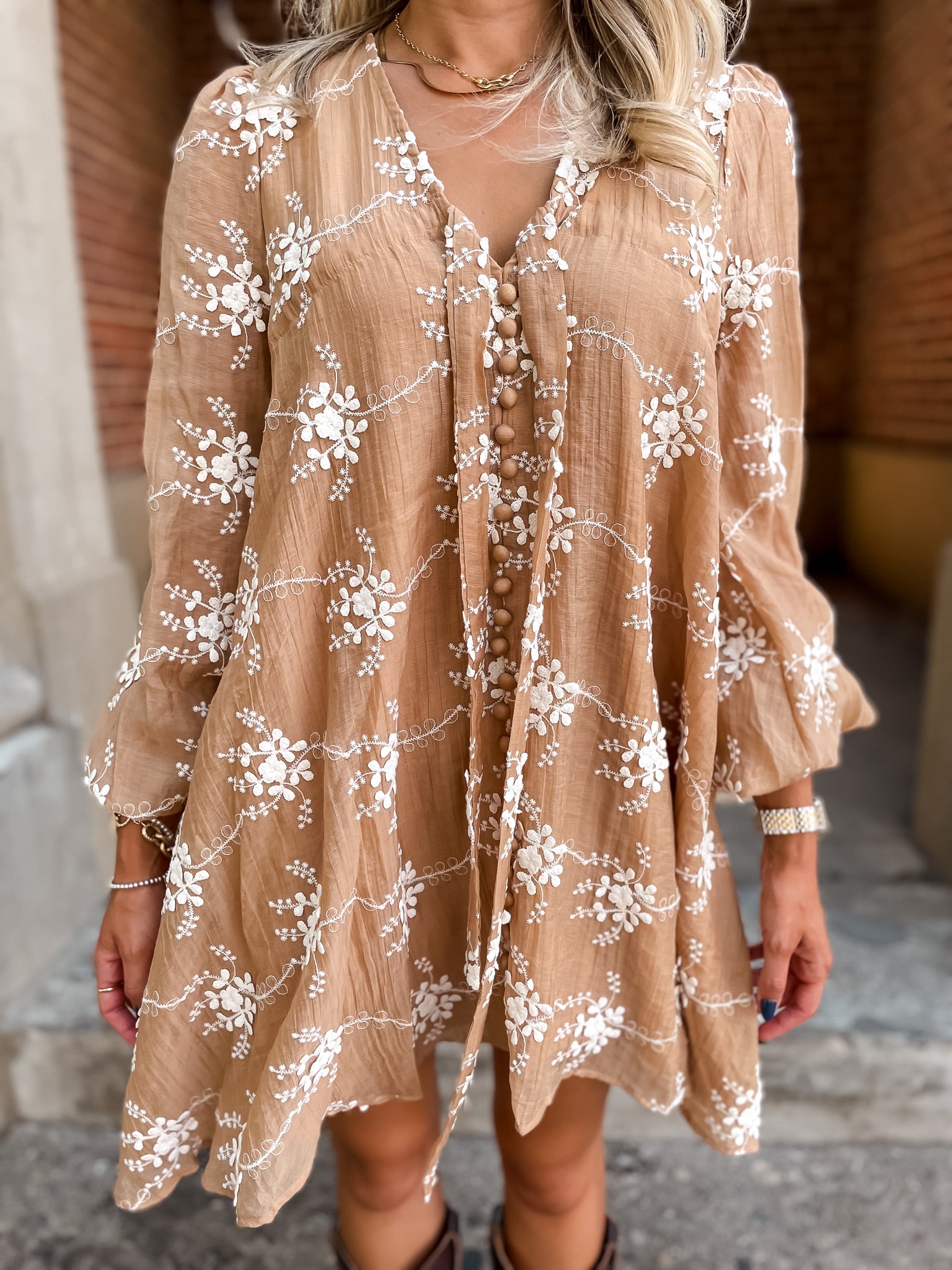 Iced Mocha Embroidered Dress