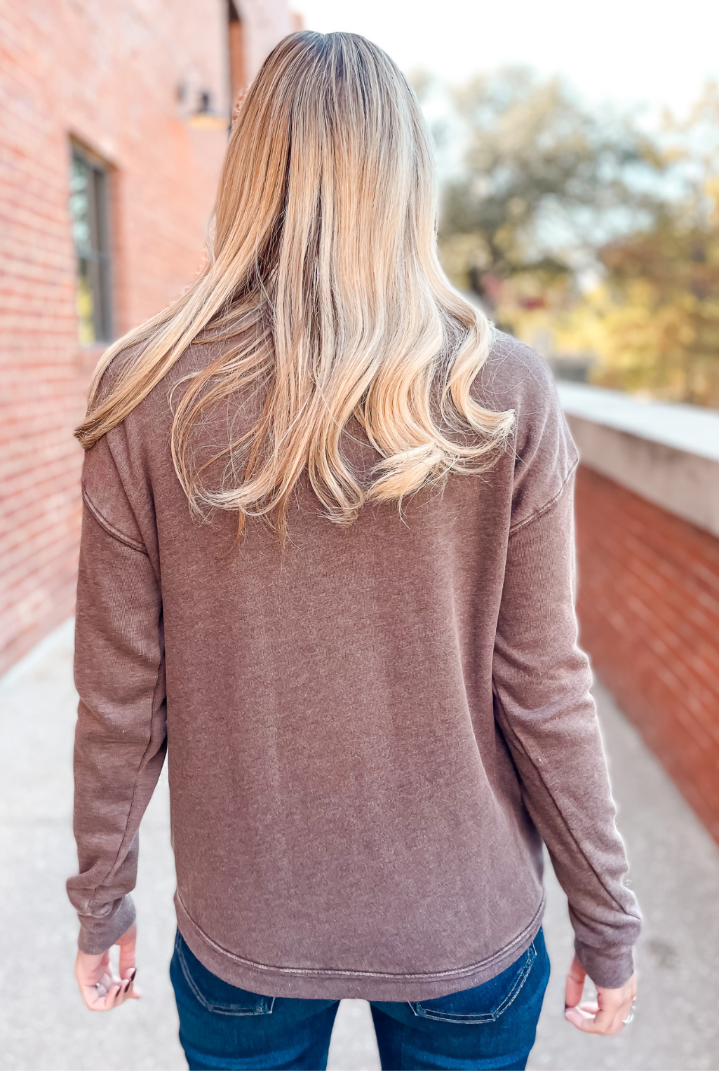 Texas Wild West Sweatshirt - Brown