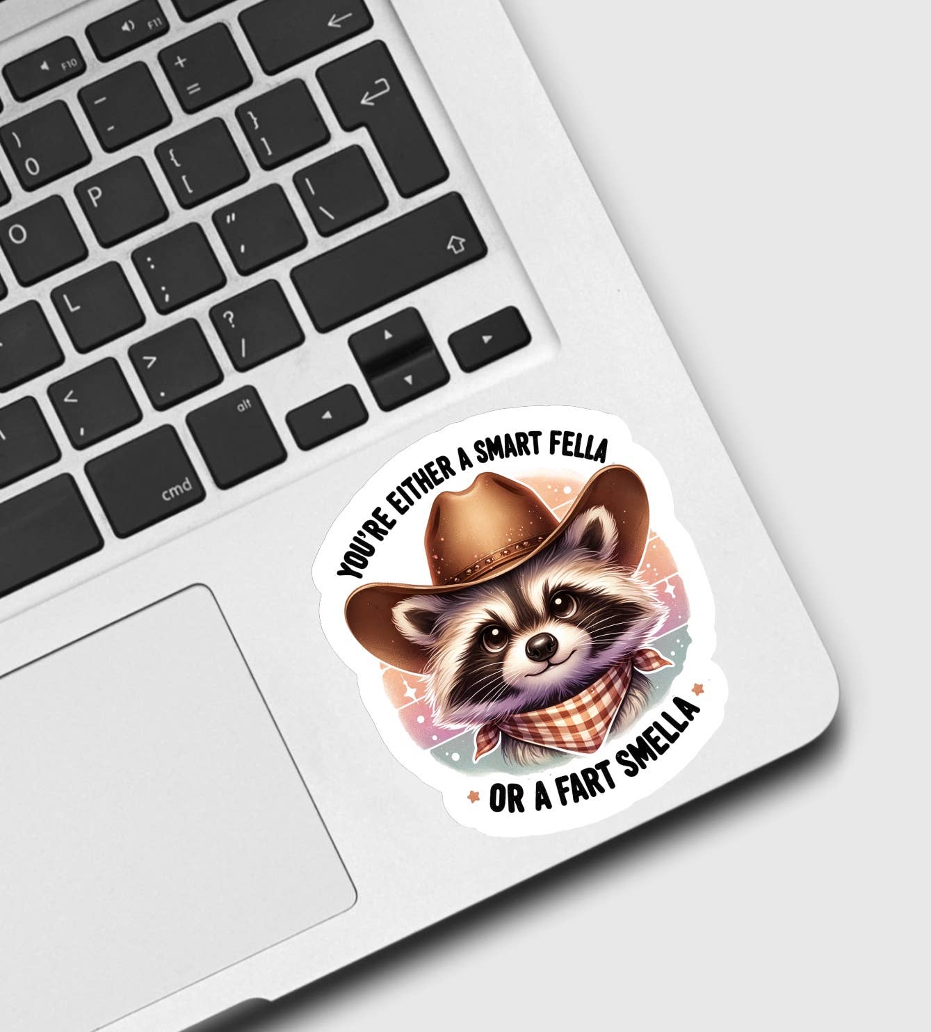Smart Fella Raccoon Sticker