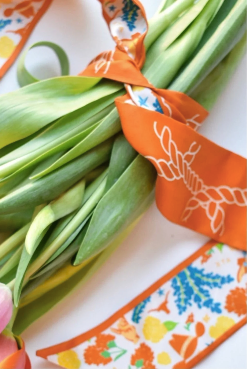 Texas Longhorns Twilly Scarf