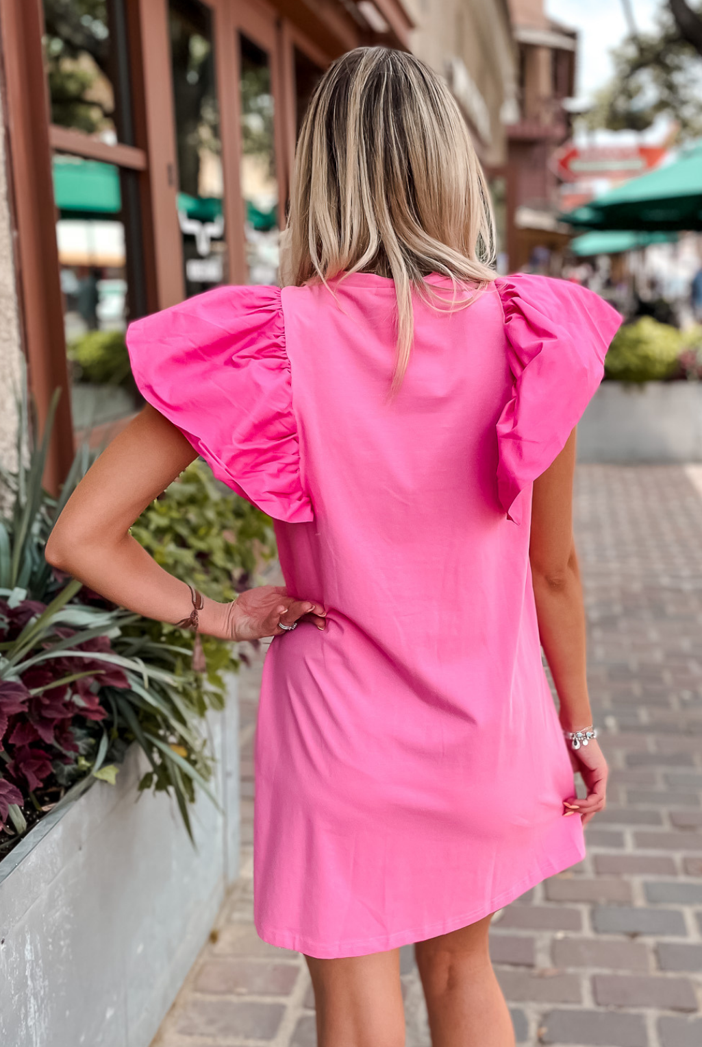 Ruffle Sleeve Dress