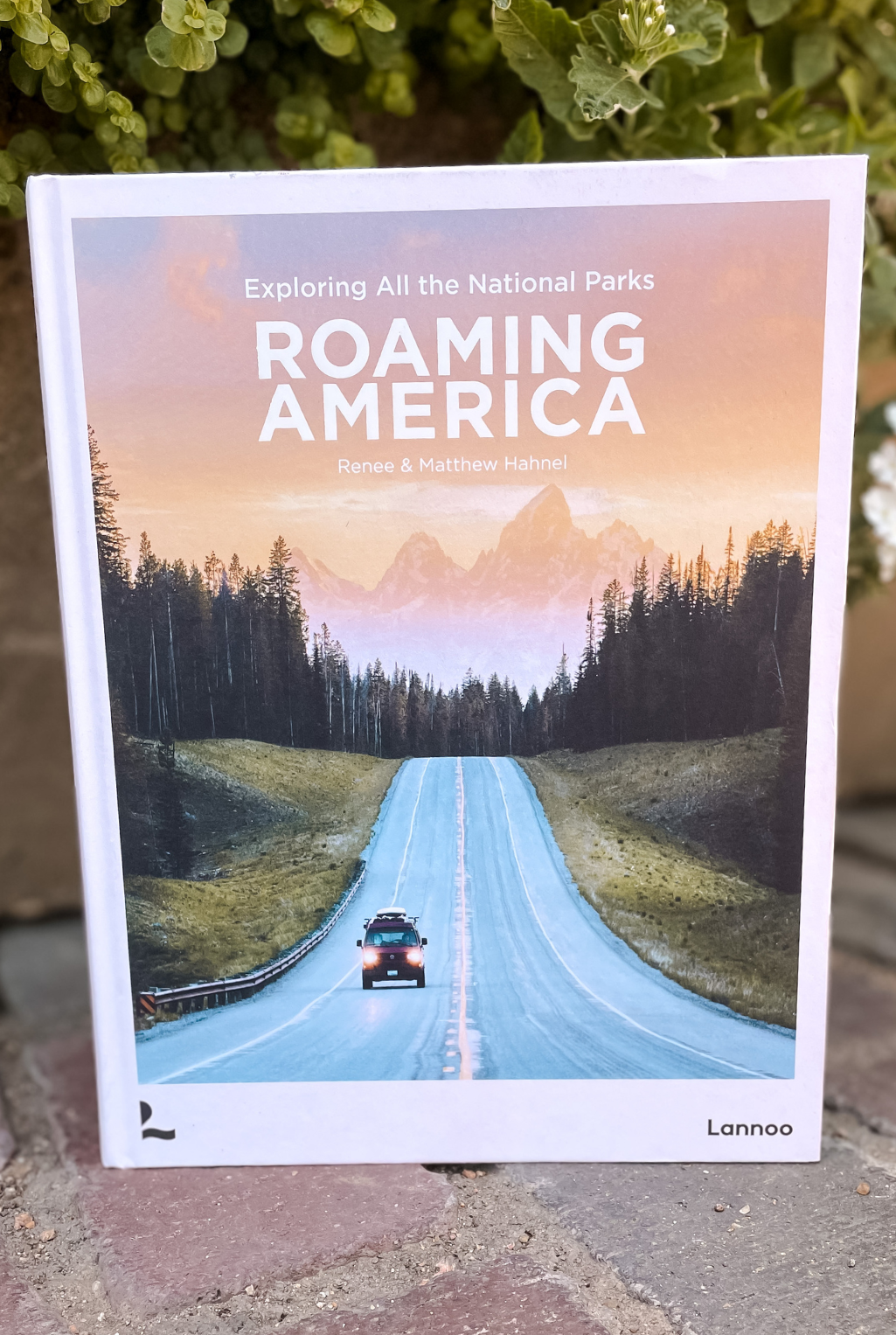 Roaming America Book