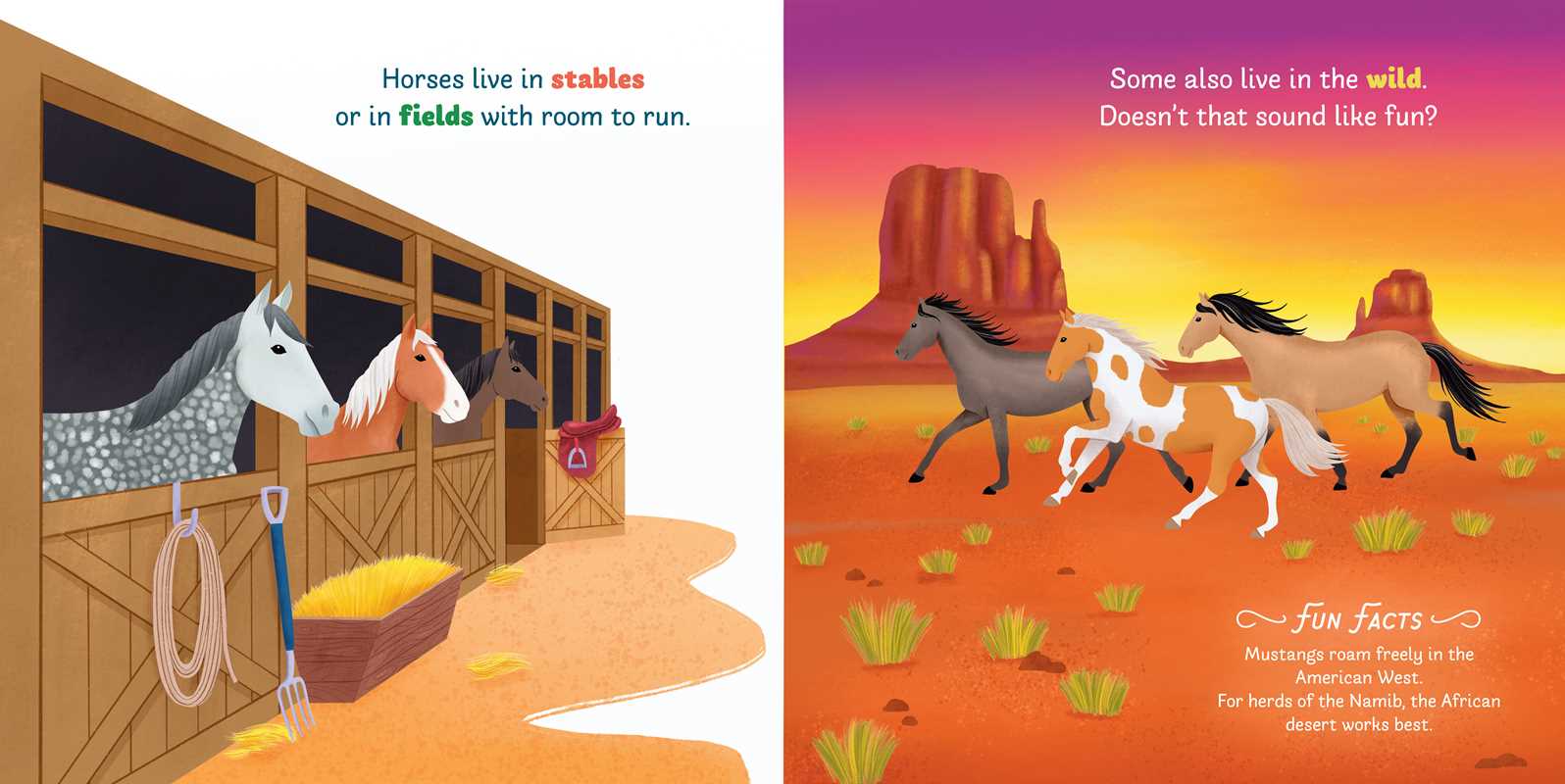 Little Genius Horses Book