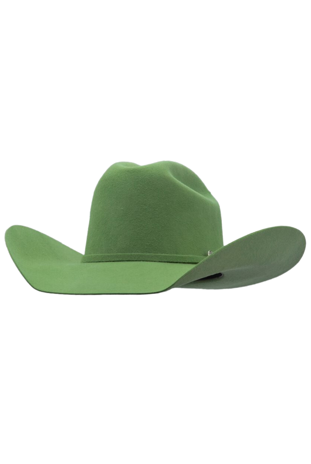 Green Round Up Hat