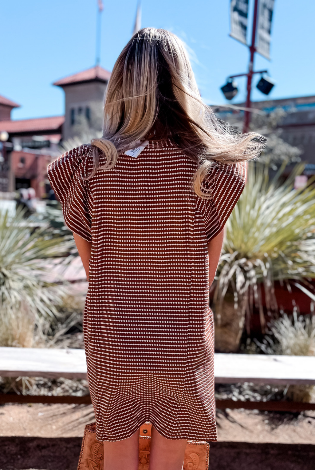 Textured Ruffle Sleeve Dress - Brown