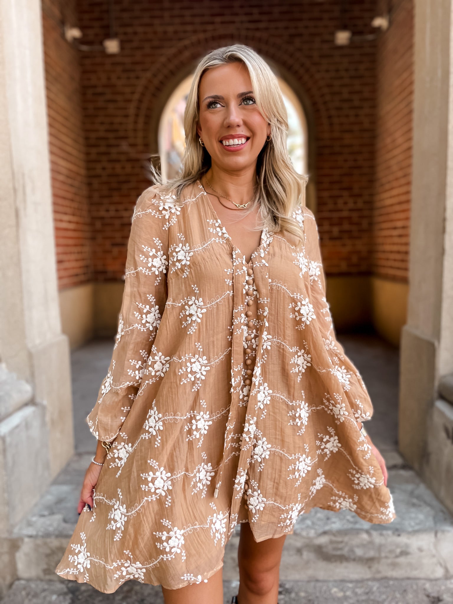 Iced Mocha Embroidered Dress