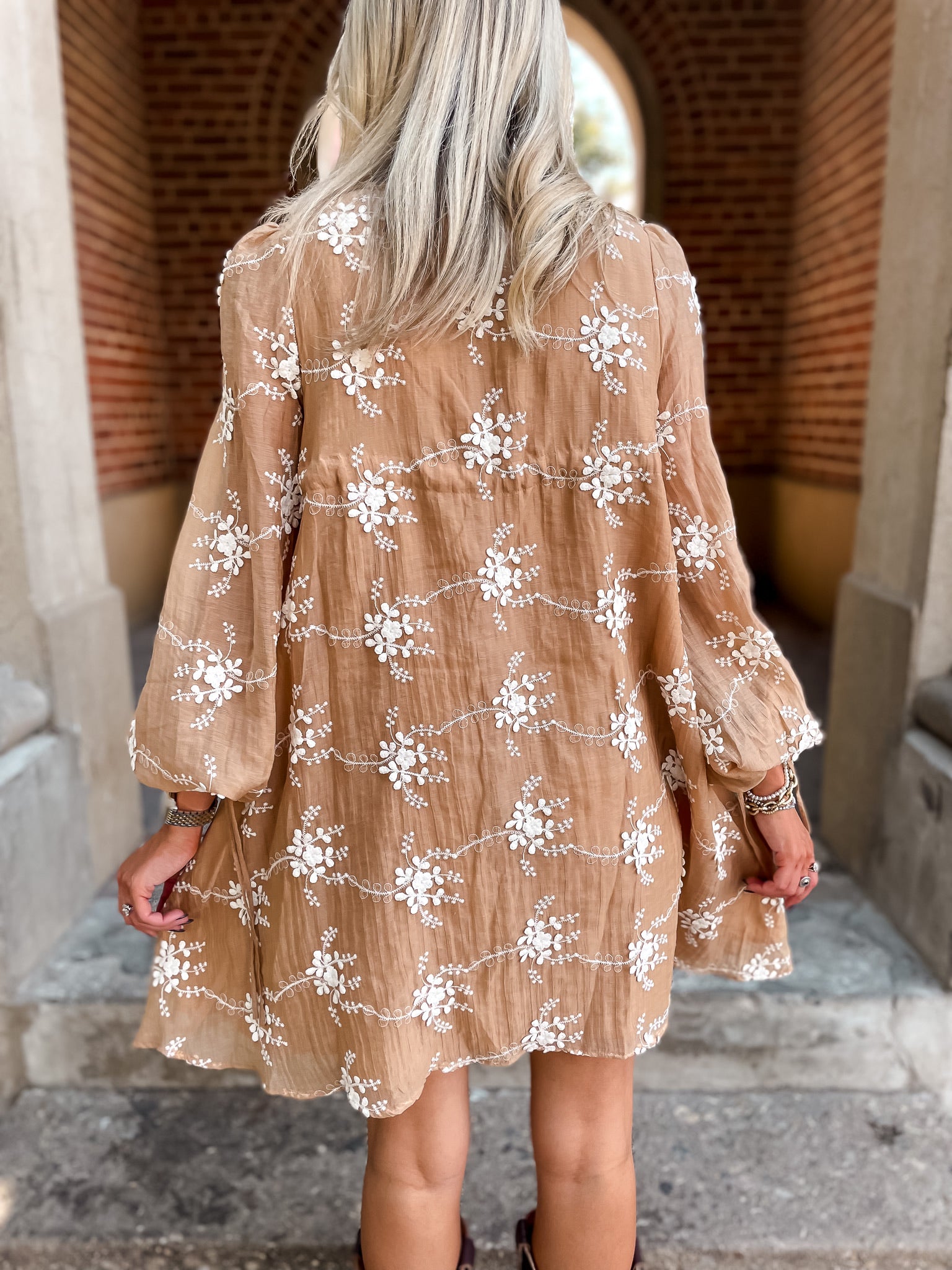 Iced Mocha Embroidered Dress