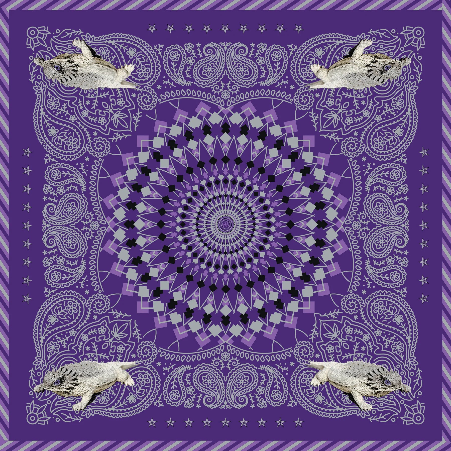 Hypnotoadie Bandana Set