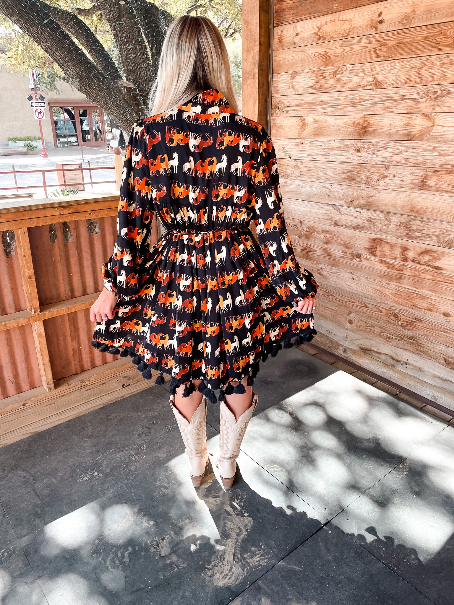 Midnight Remuda Dress