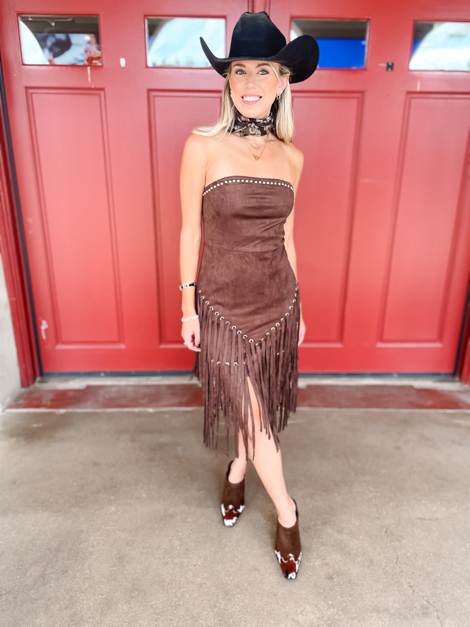 Rings Of Fringe Suede Dress