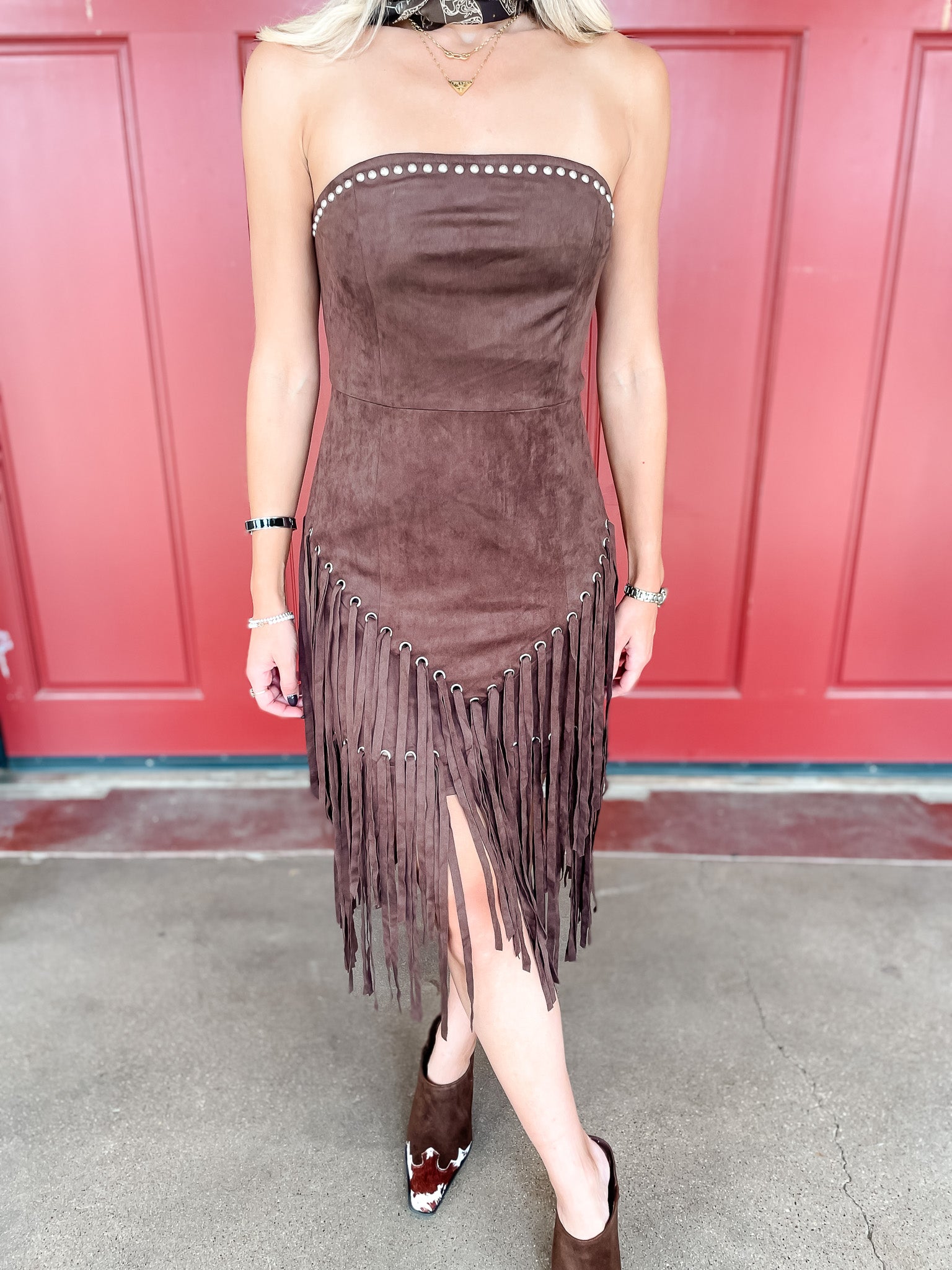 Rings Of Fringe Suede Dress