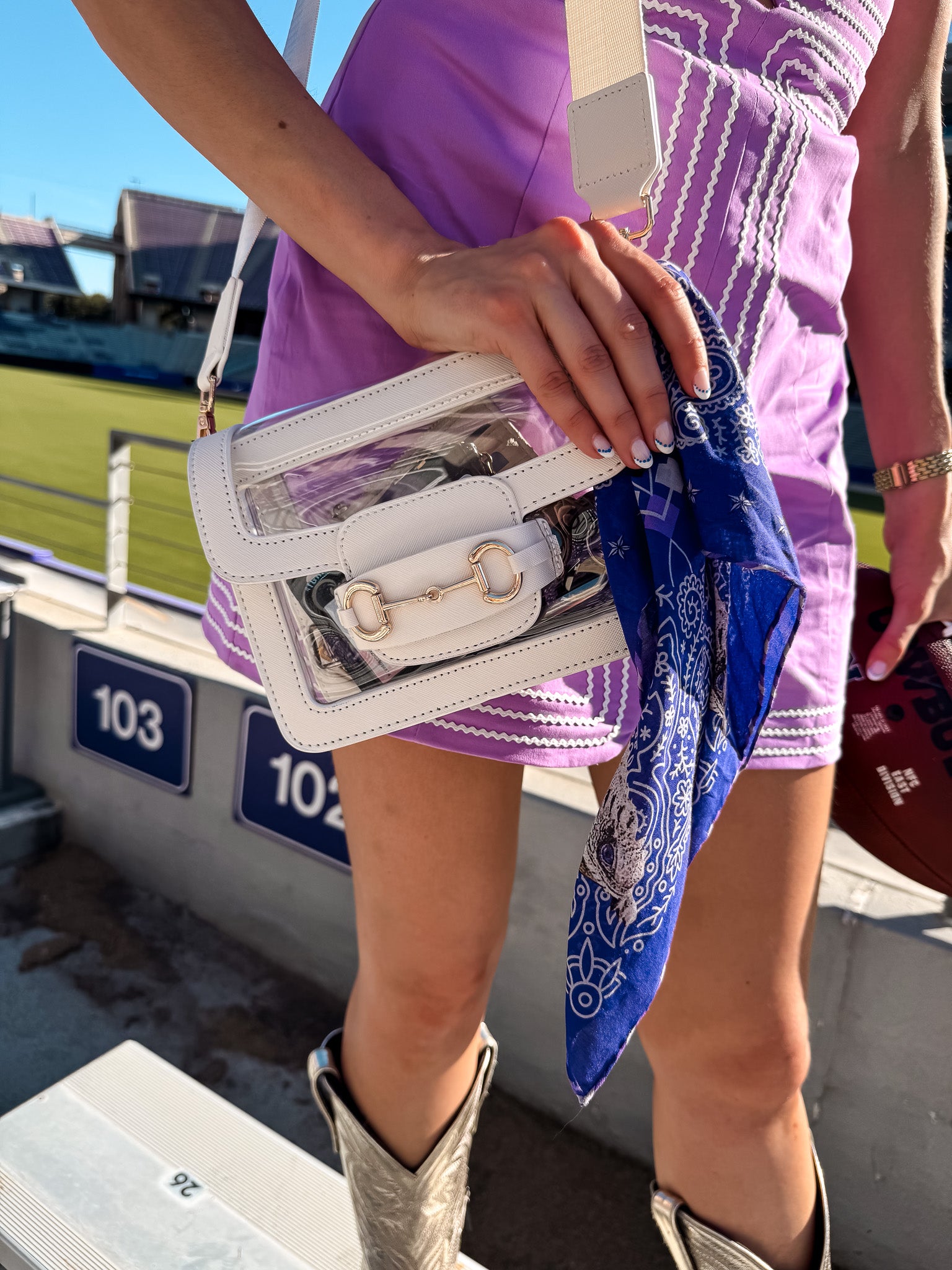 The Ashley Clear Handbag