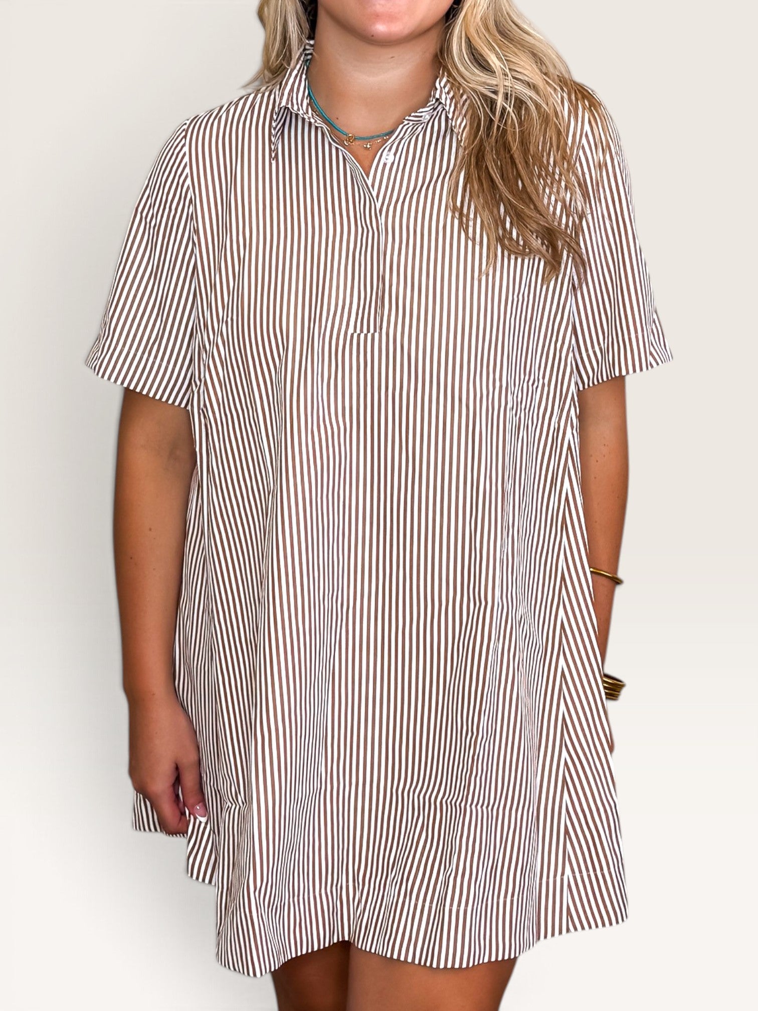 Dixon Striped Shirt Dress - Brown