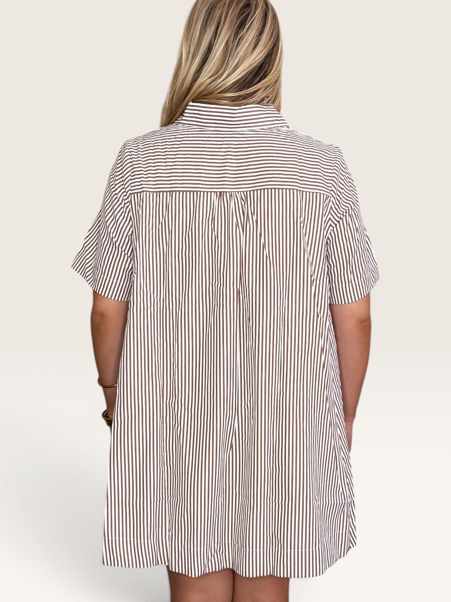 Dixon Striped Shirt Dress - Brown