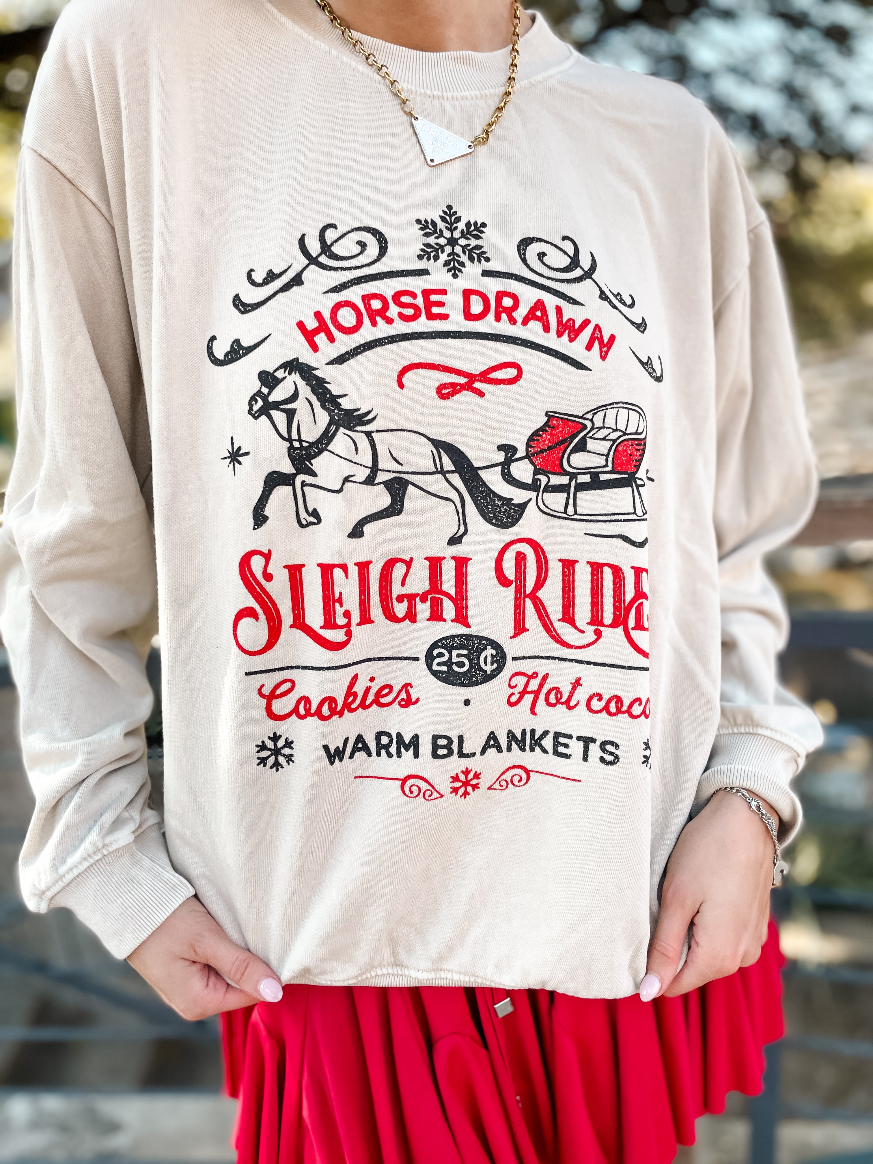 Sleigh Rides Sweatshirt - Oatmeal