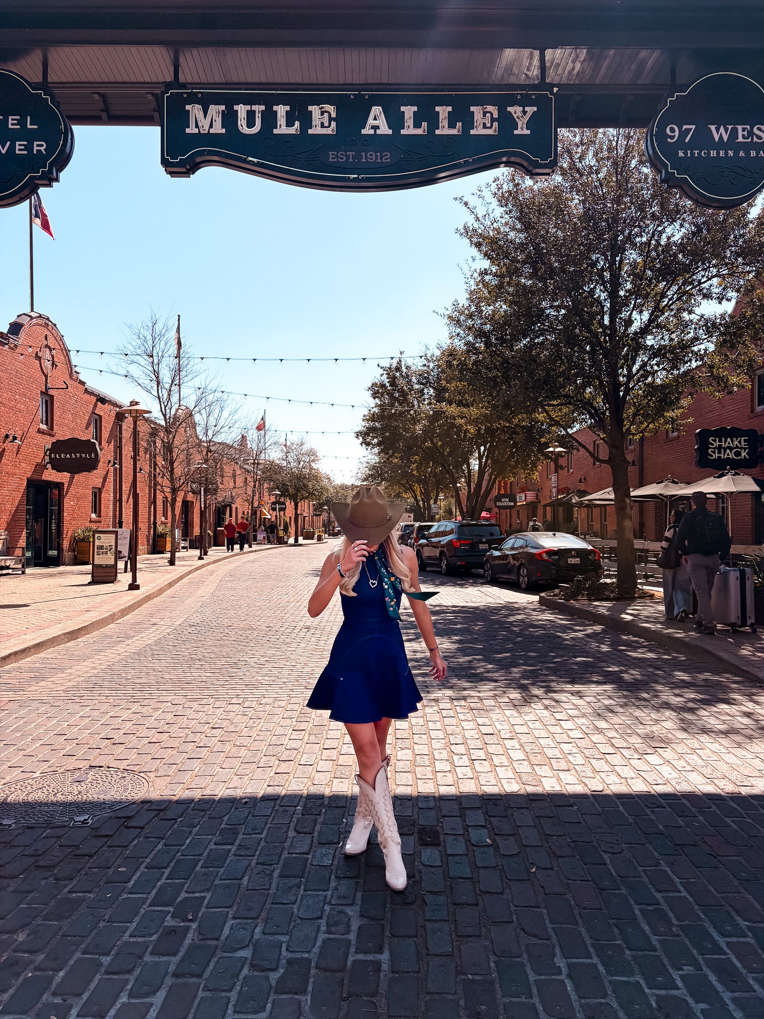 Seraphina Mini Dress