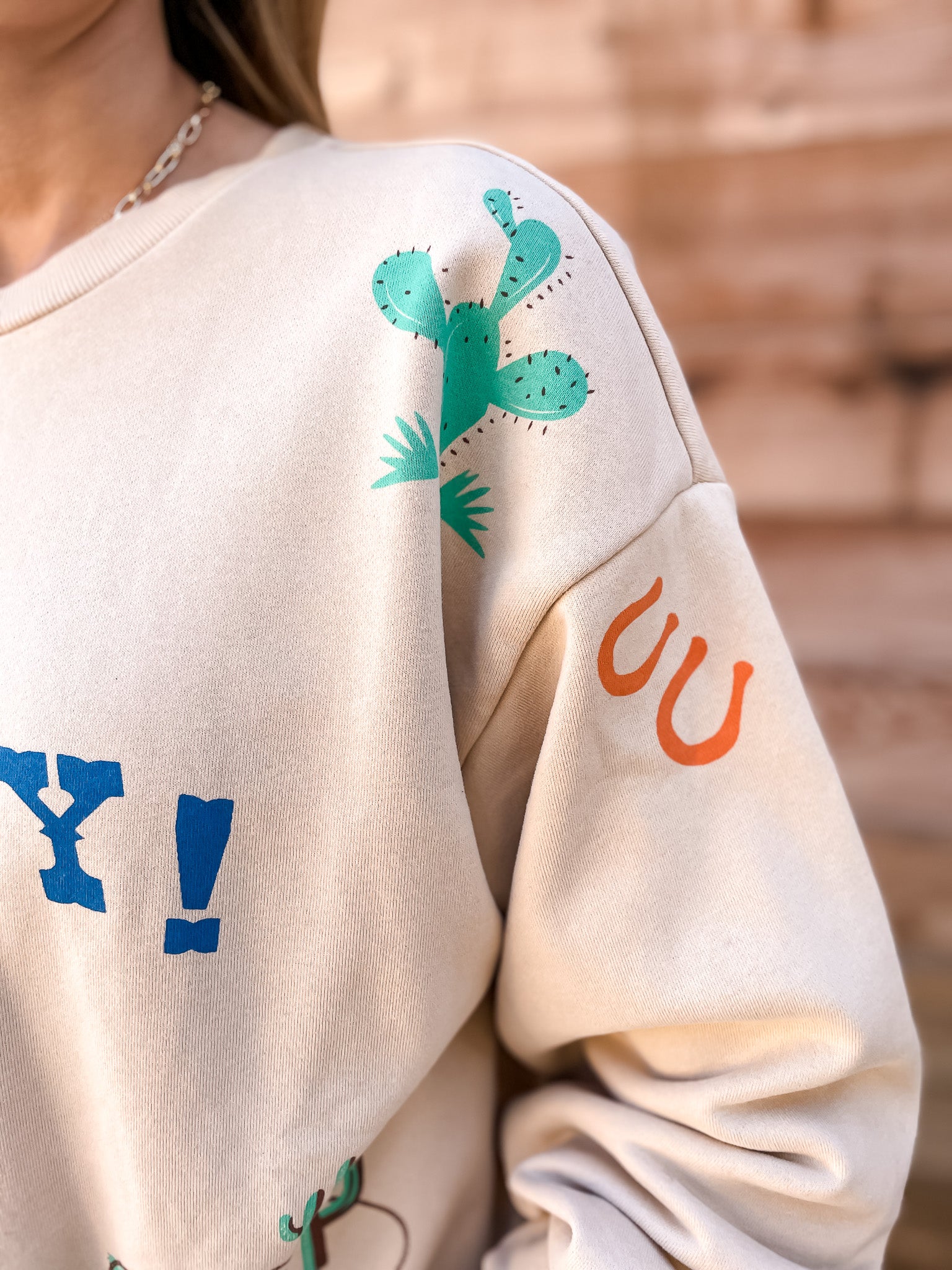 Howdy & Friends Sweatshirt - Tucker Brown