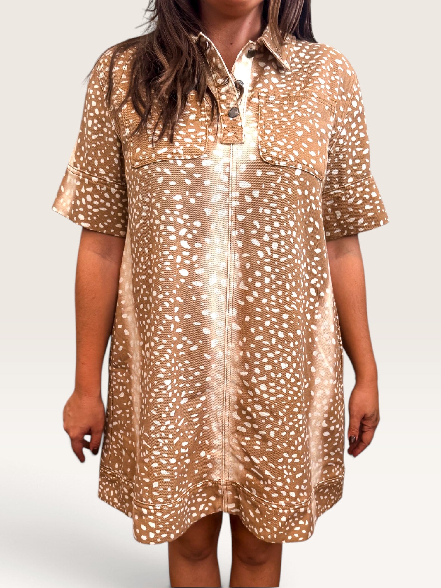 Favorite Fawn Dress