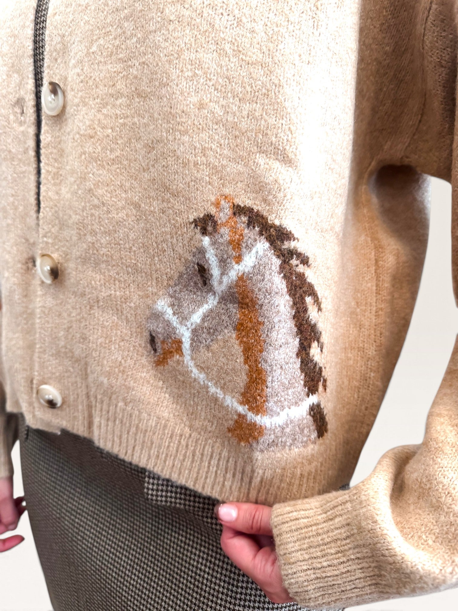 Lil Colt Sweater