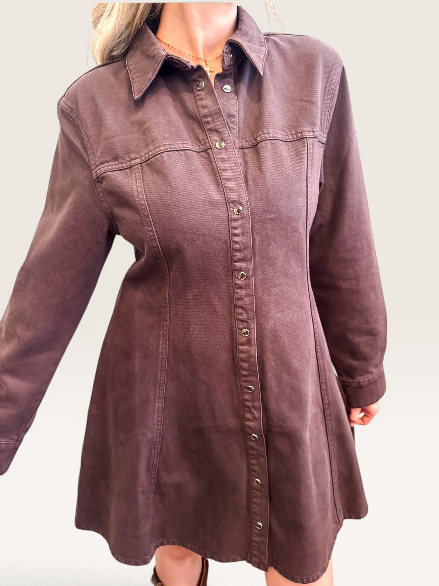 Zeana Work Dress