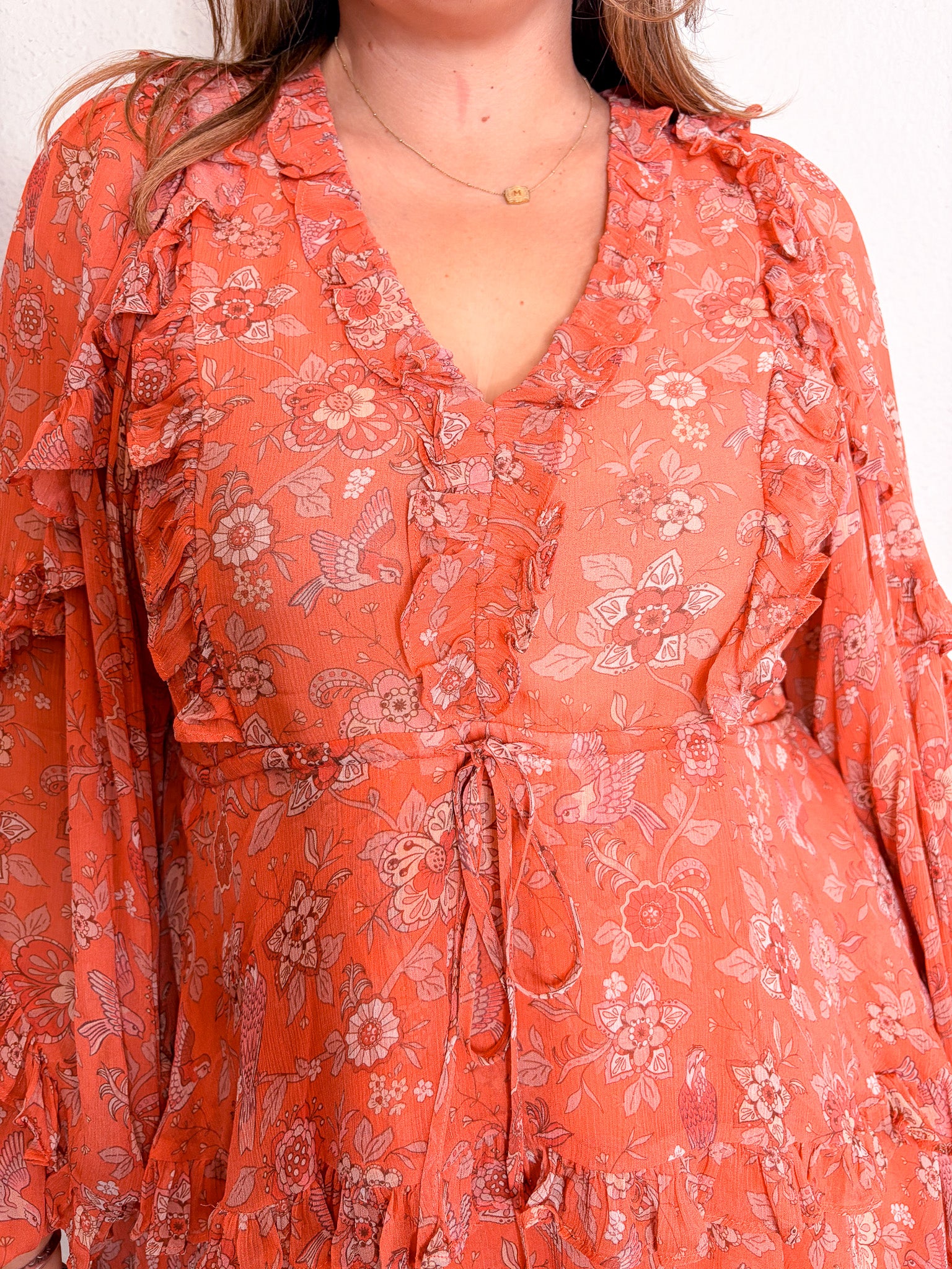 Shailin Blue Jay Dress - Pink