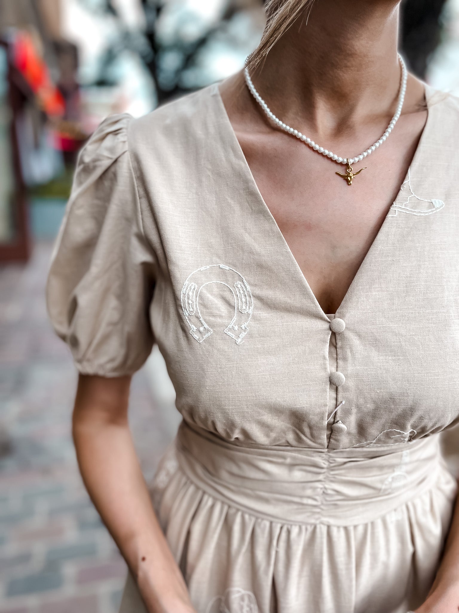 Western Icon Embroidered Dress