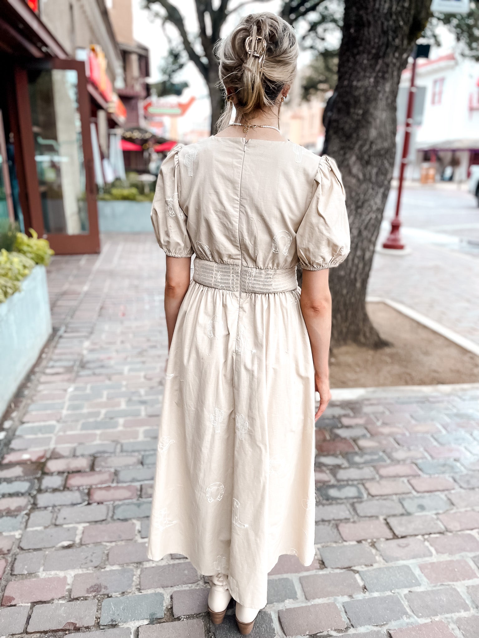 Western Icon Embroidered Dress