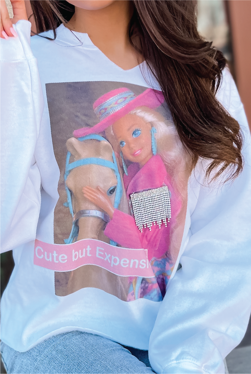 Cute But Expensive Sweatshirt