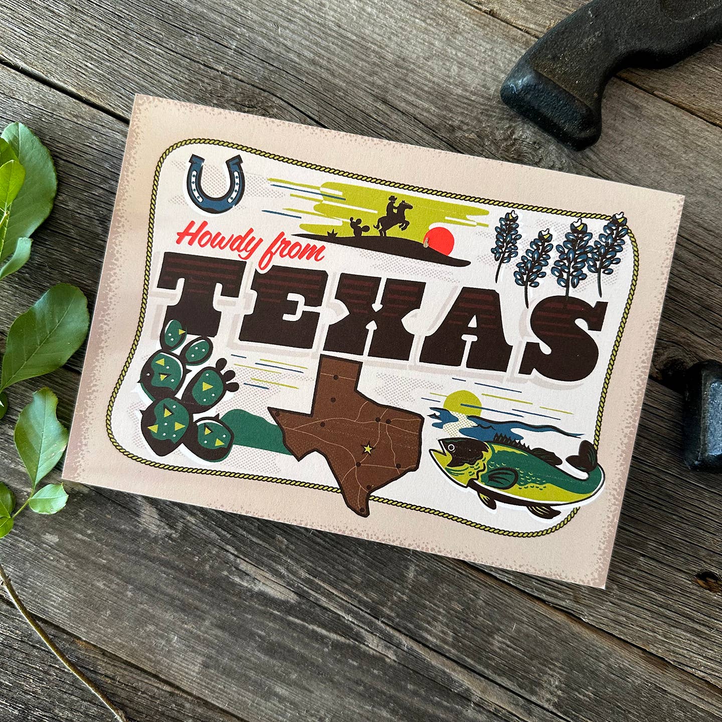 Howdy From Texas Postcard