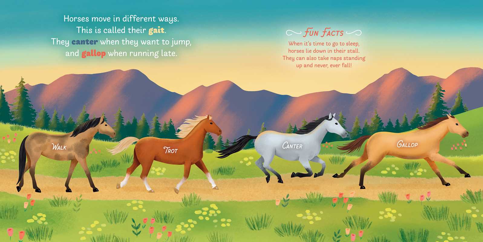 Little Genius Horses Book