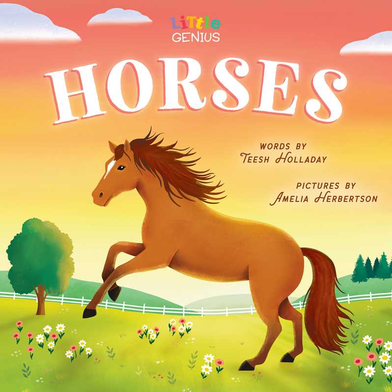 Little Genius Horses Book