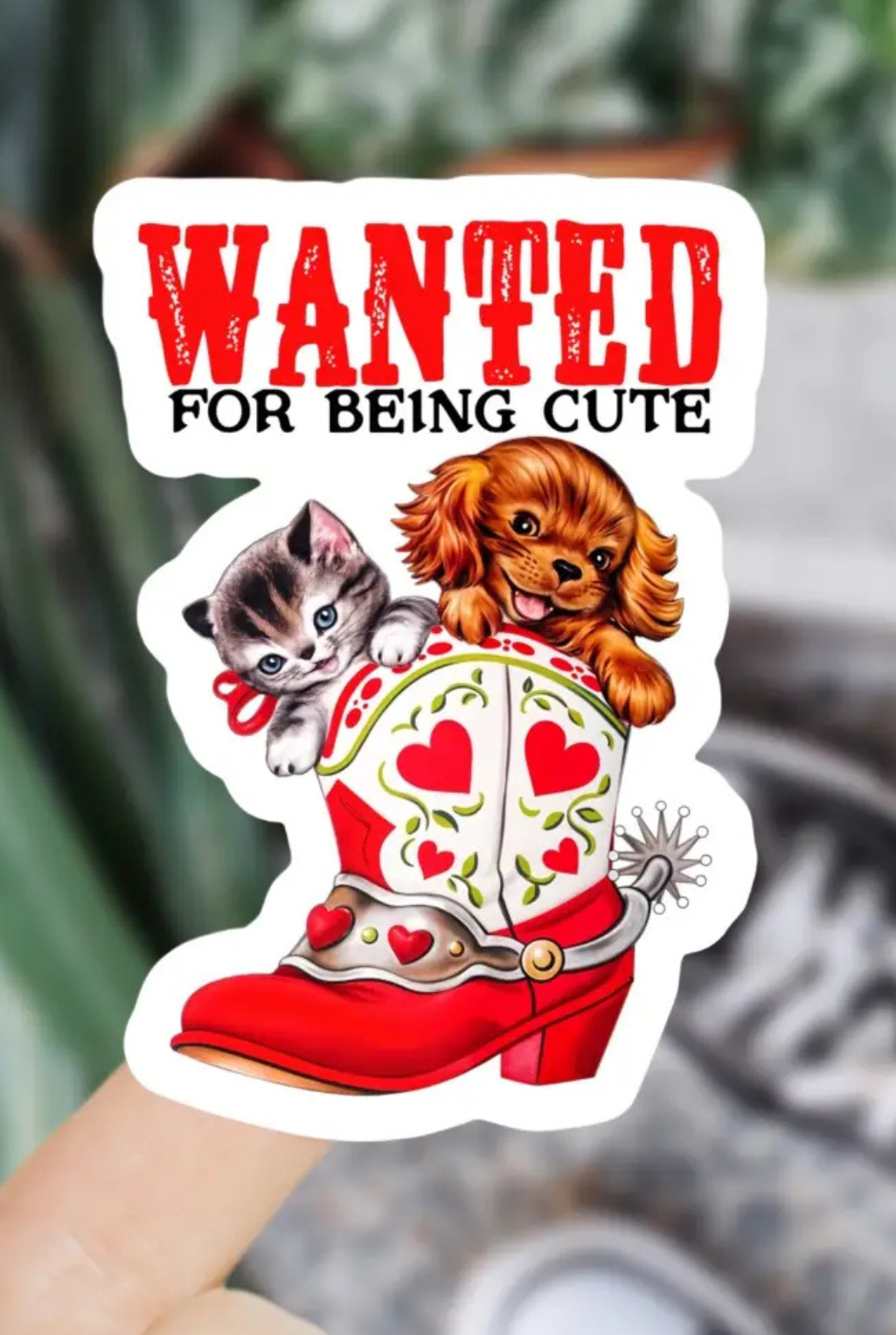 Wanted For Being Cute Sticker