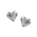 Young At Heart Mini Post Earrings - Silver - Tucker Brown