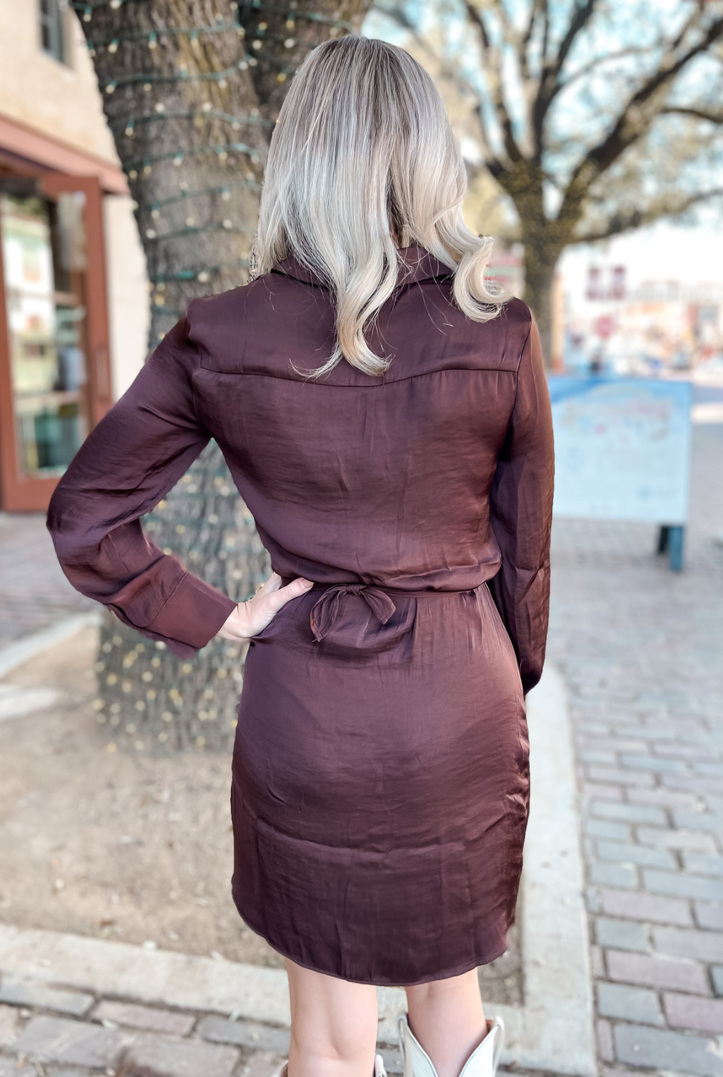 Tie Curious Silk Dress