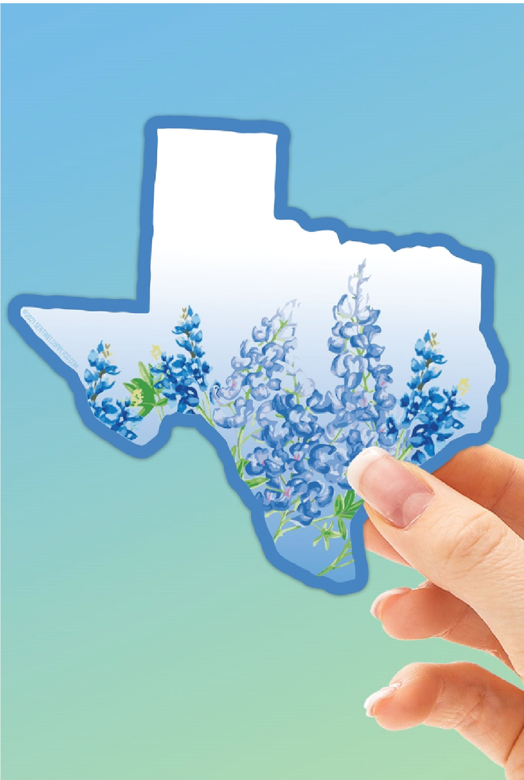 Texas Bluebonnets Sticker